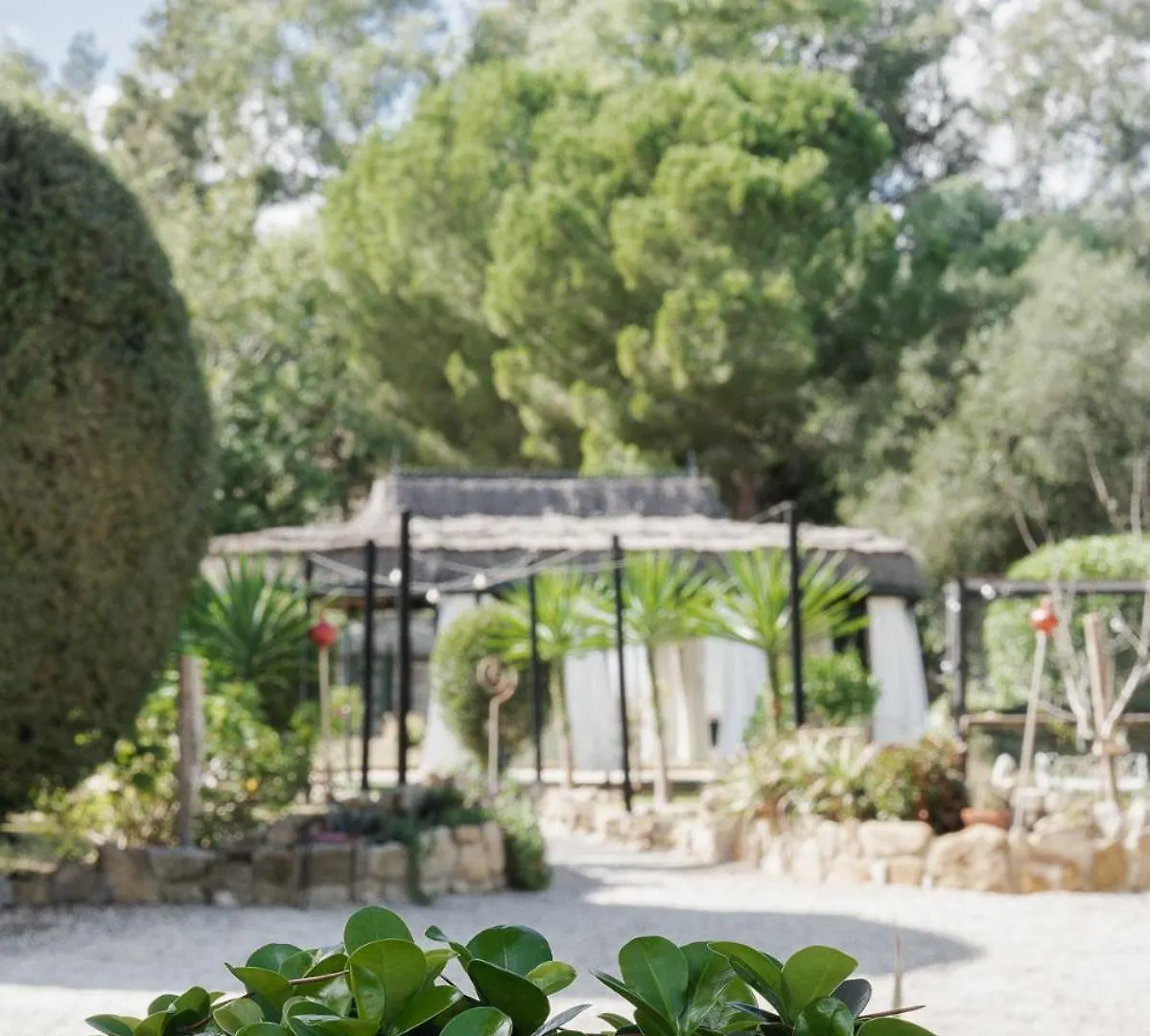 Boutique Hotel Rancho Los Lobos Jimena De La Frontera Spanien